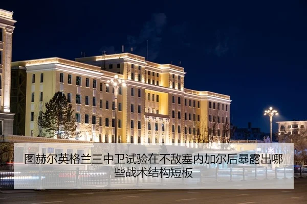 tu-he-er-ying-ge-lan-san-zhong-wei-shi-yan-zai-bu-di-sai-nei-jia-er-hou-bao-lu-chu-na-xie-zhan-shu-jie-gou-duan-ban-2-322.jpg