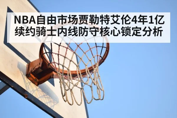 basketball rim protection